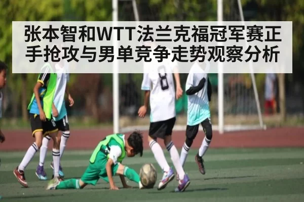 张本智和WTT法兰克福冠军赛正手抢攻与男单竞争走势观察分析